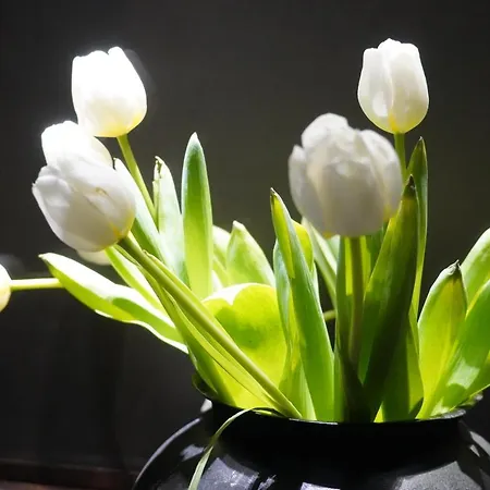 Granda Sweet Vendégház 3*