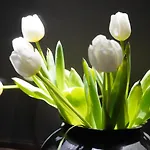 Granda Sweet 招待所 3*