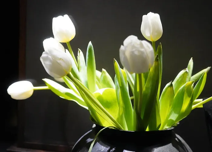 Granda Sweet Gasthof 3*